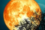 The brightest supermoon of 2022 - what kind of world saw the 